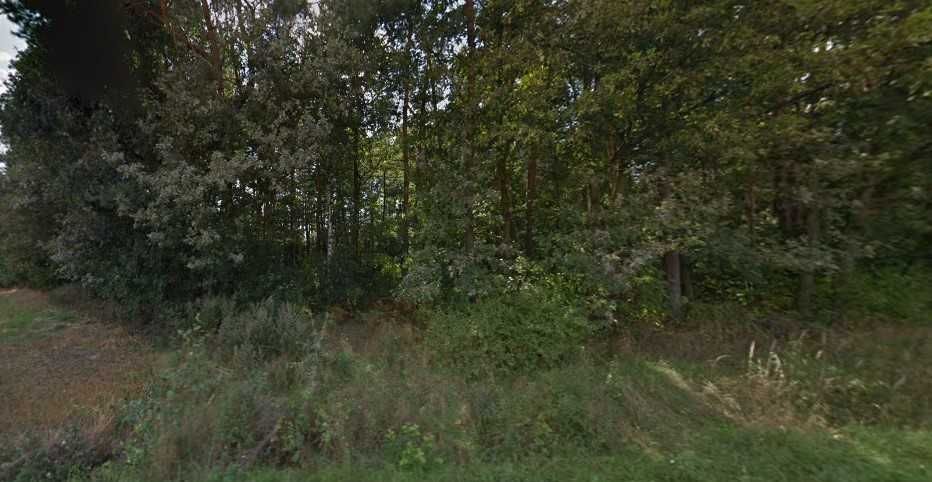 Piękna działka leśna nad rzeką Mrogą. Kołacinek