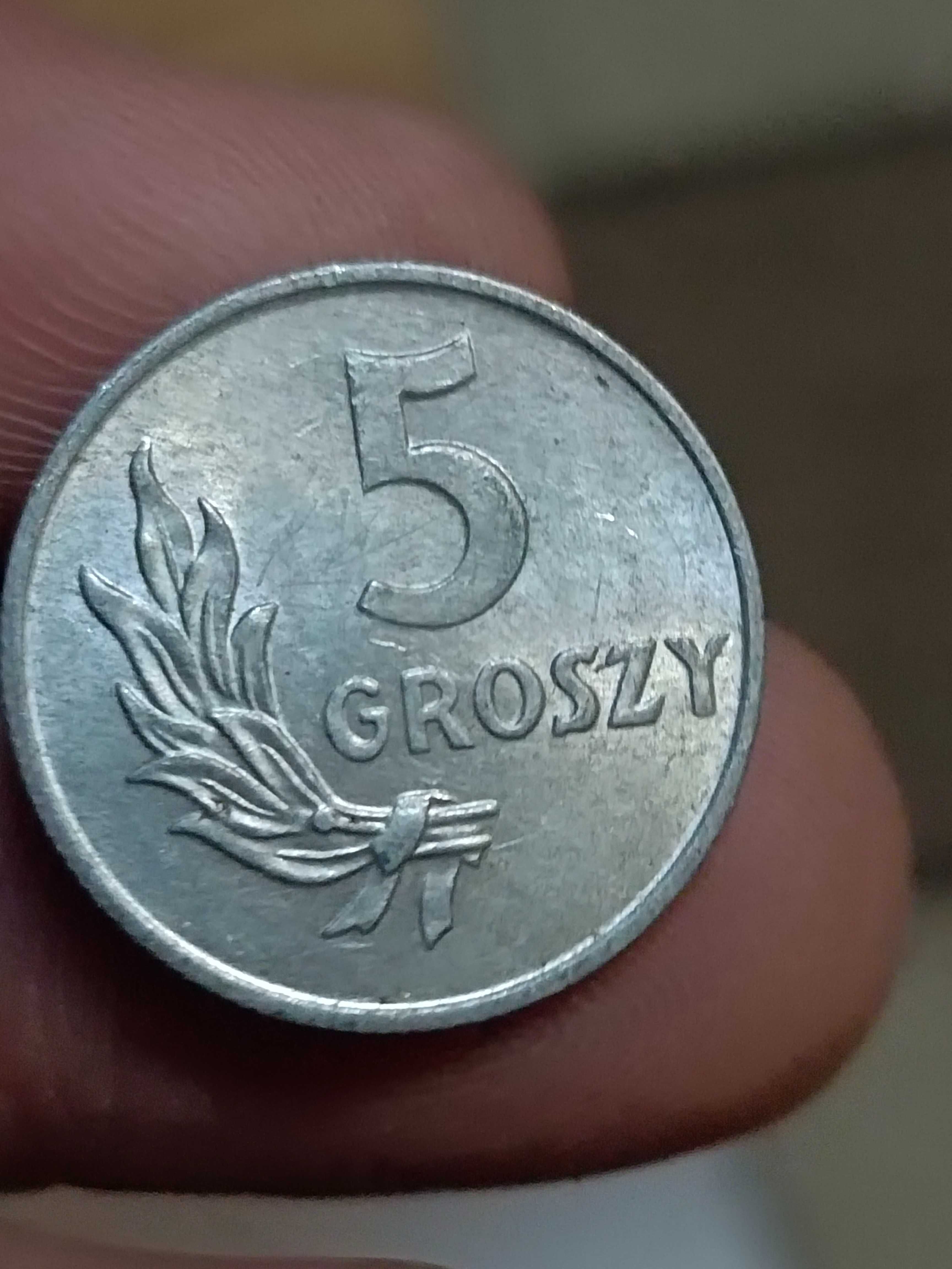Sprzedam monete 5 gr 1949 r bzm