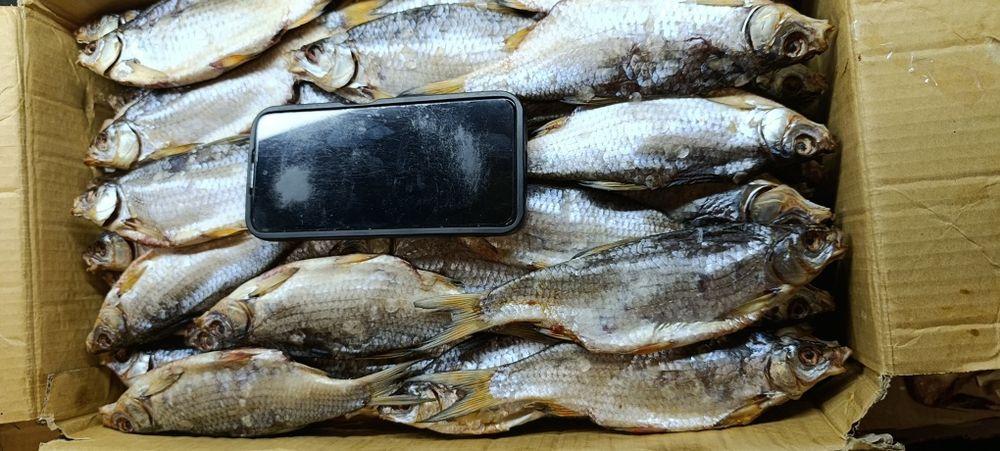 Тарань ( плотва ) с молодой икрой, балык толстолоба, щука вяленая