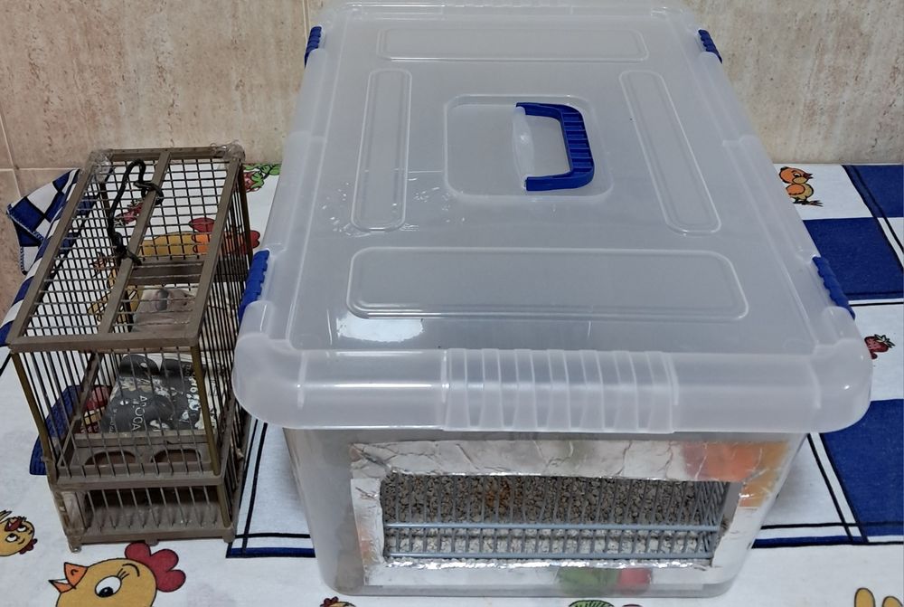 Transportadoras para aves