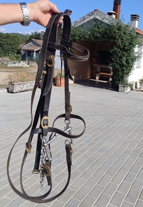 Sela completa para cavalo