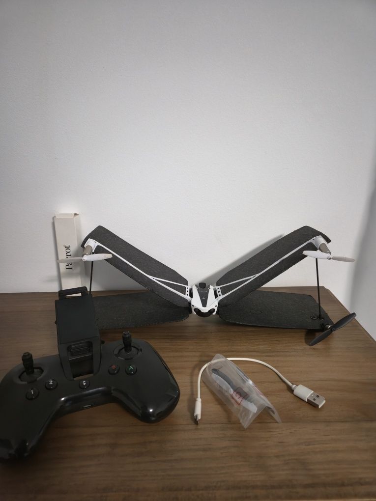 Drone Parrot swing
