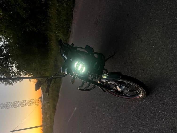 Альфа мустанг 110 куб