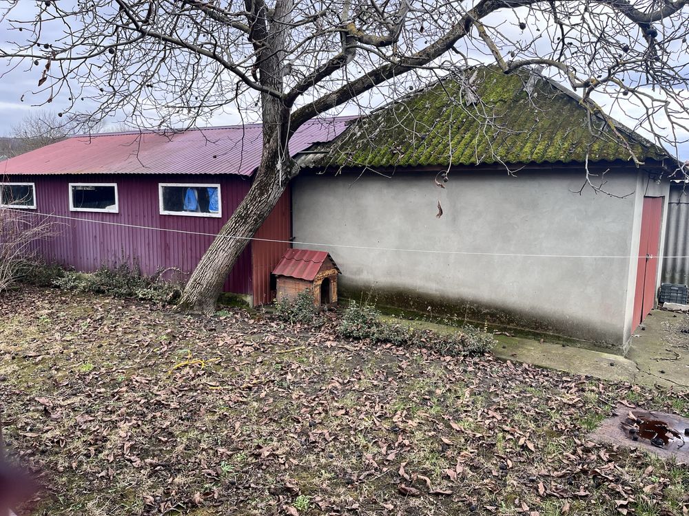 Продається будинок у селі Косонь