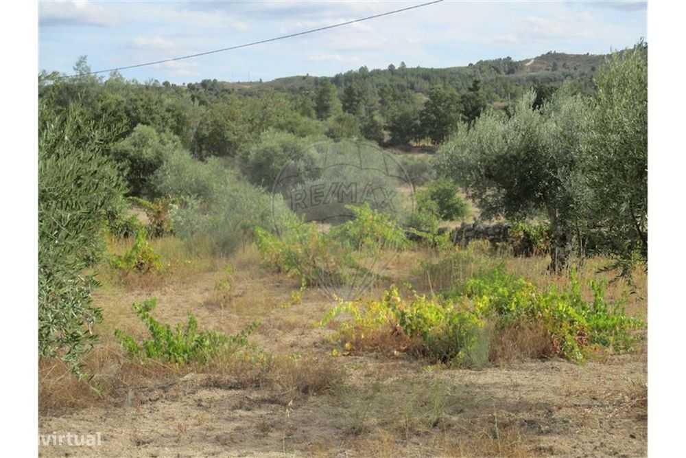 Quinta T0 para venda