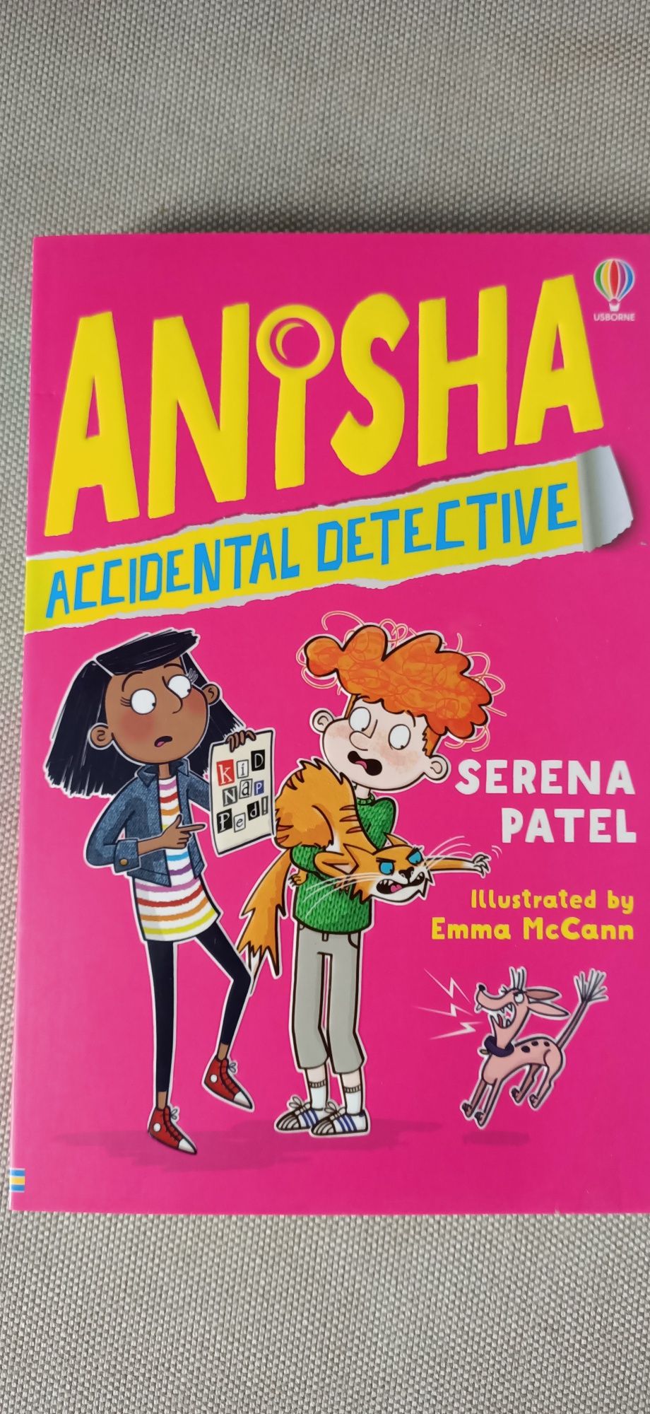 Anisha Accidental Detective Usborne