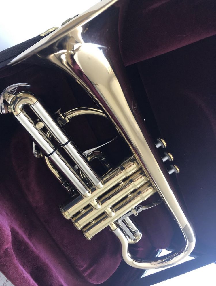 Cornet profissional - Besson 928