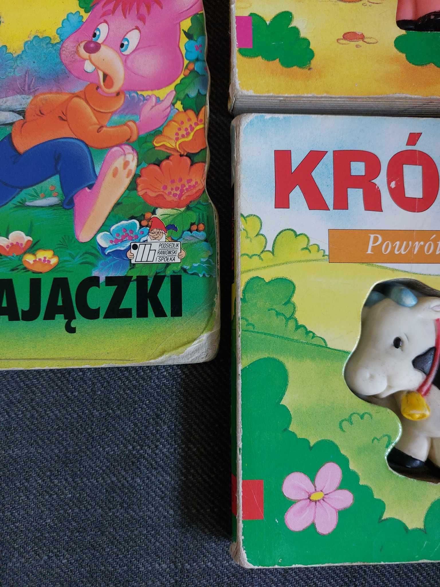 Wydawnictwo Podsiedlik Raniowski i Spółka - zestaw książek