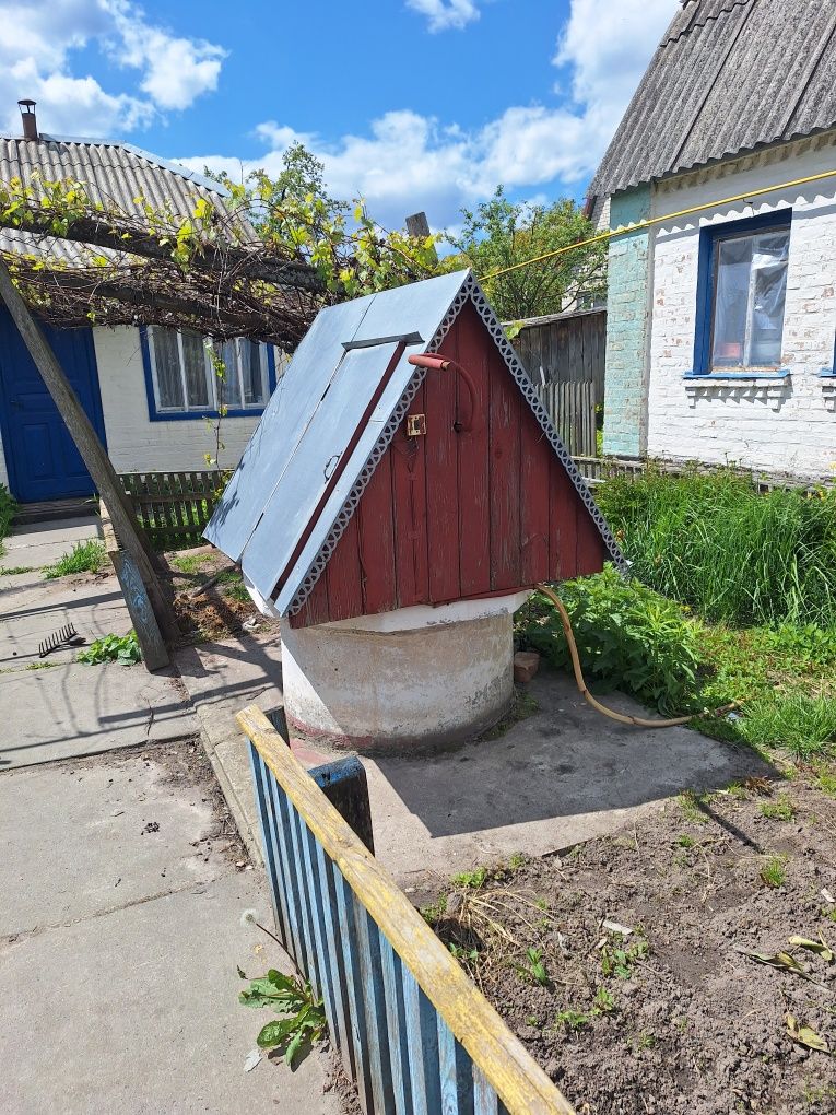 Плесецьке.  Продам будинок вул. Покровська