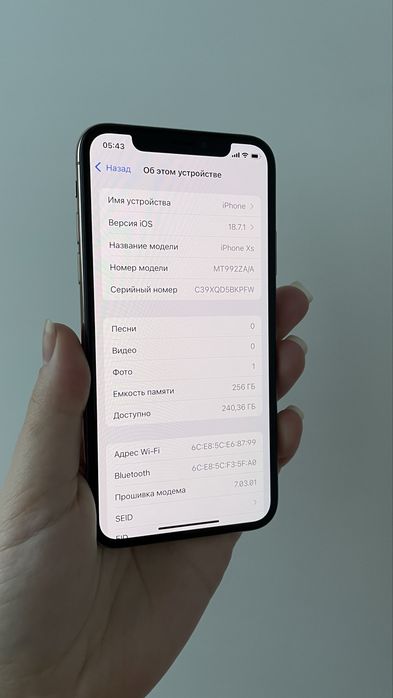 Iphone XS 256 Gb Gold Neverlock