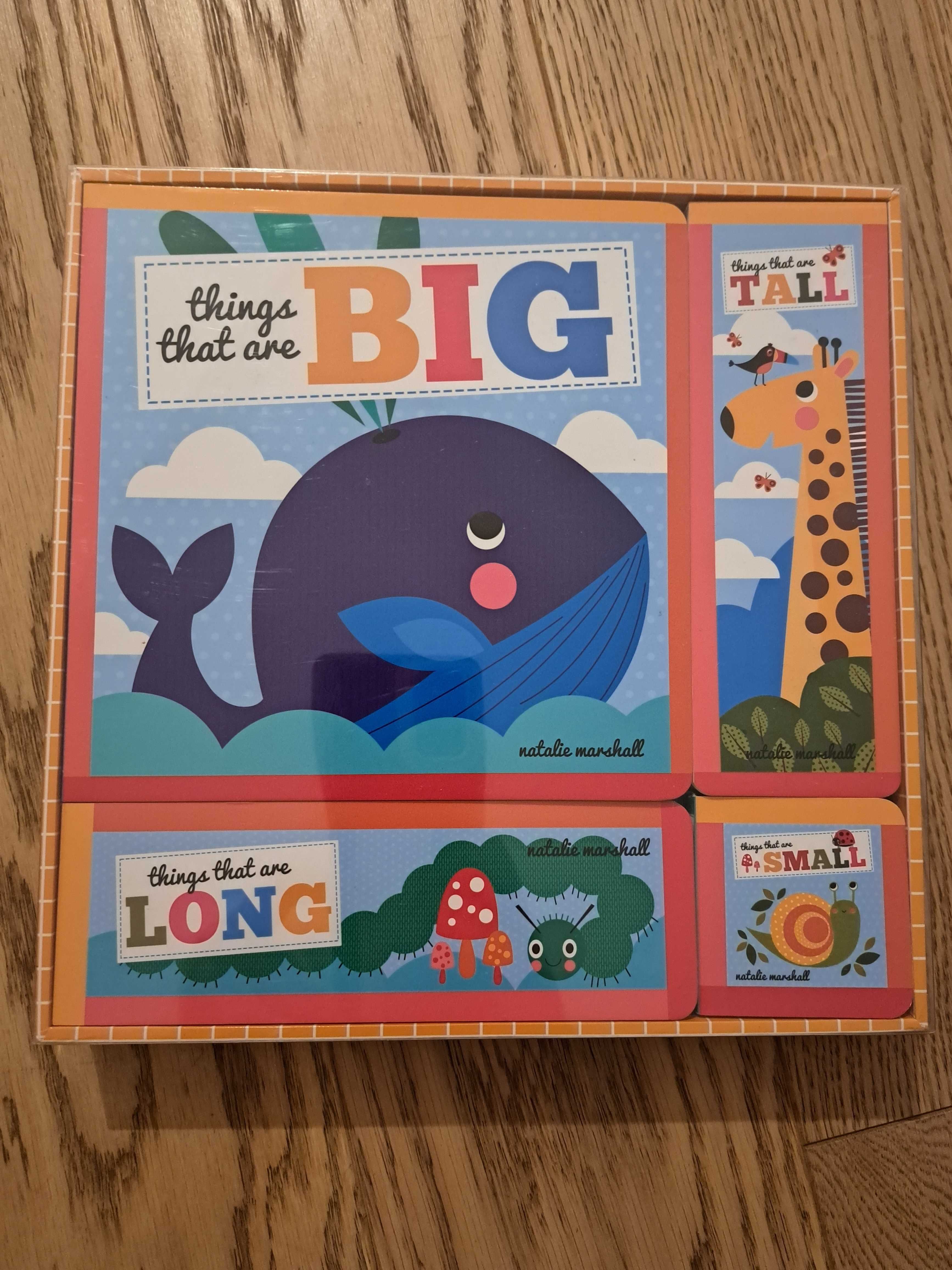 Things that are big, ling, tall, small Nowe, angielski
