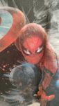 Koszulka T-Shirt Marvel Spiderman