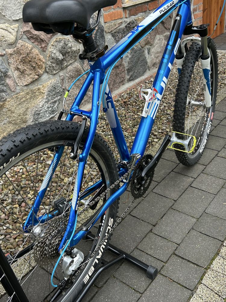Rower Bulls pulsar