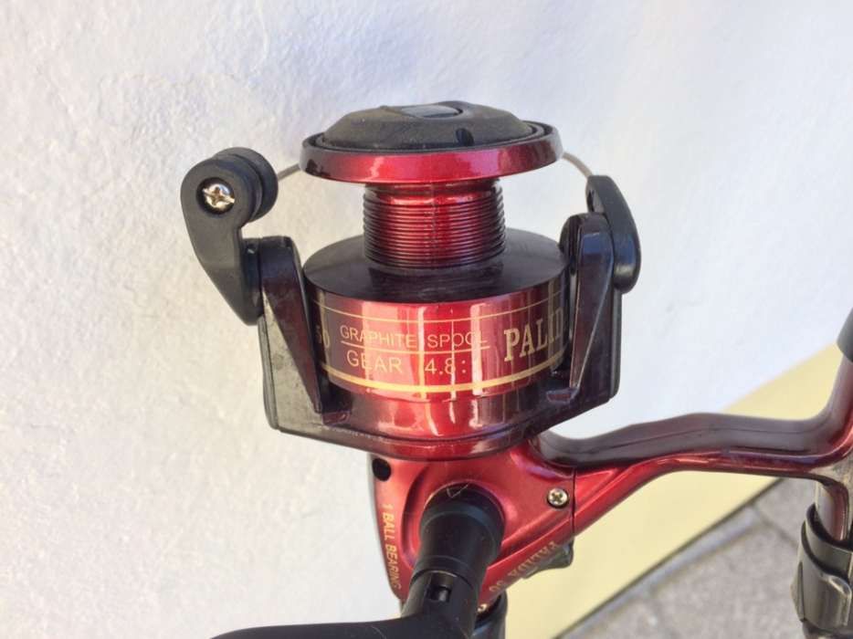 Canas de pesca para venda