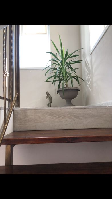 Апартаменти Comfort House + в Берегово неподалік басейнів