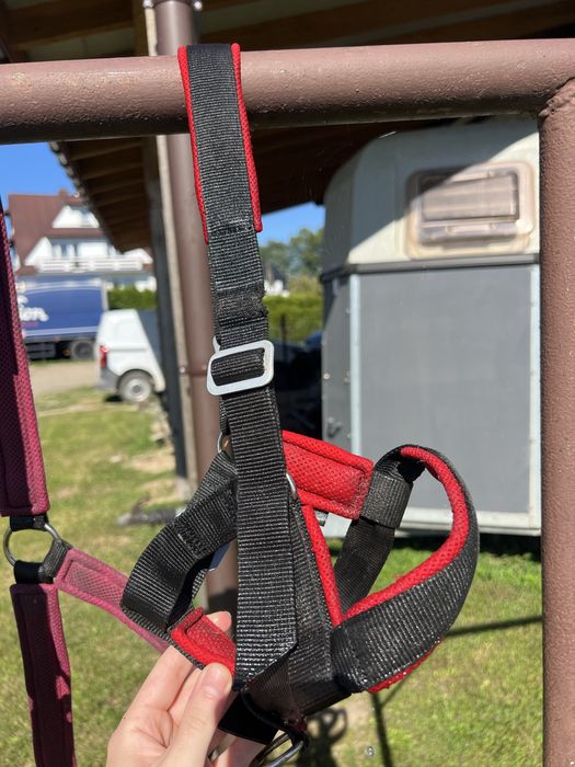 Kantar dla źrebiąt ManMat Stable Foal czerwony