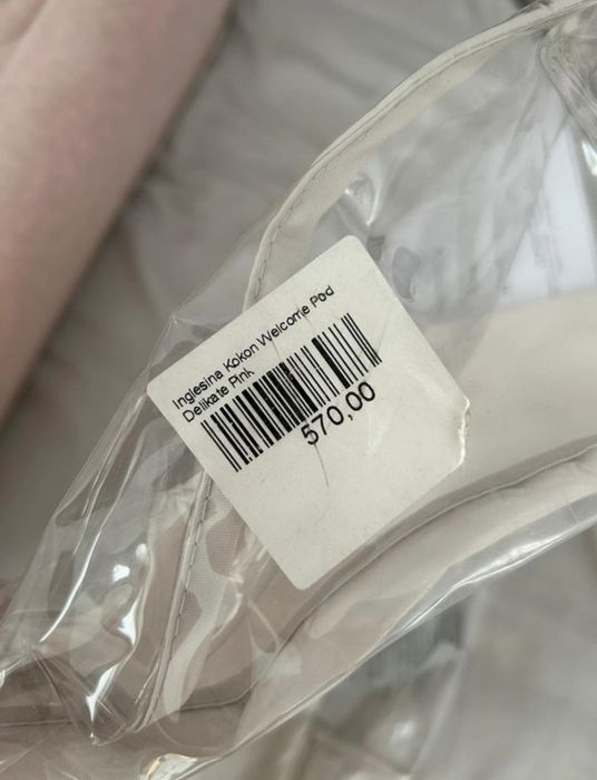 Sprzedam kokonik Inglesia