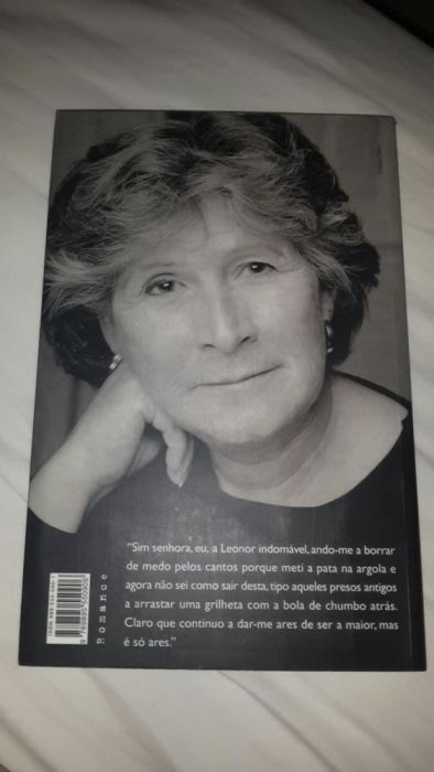 Livro "Uma pedra no sapato"