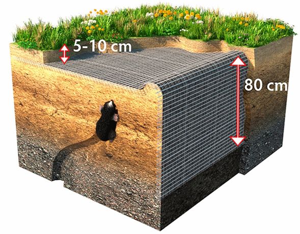 Сітка для захисту газону від кротів вічко 9х9мм, рулон 2х30м