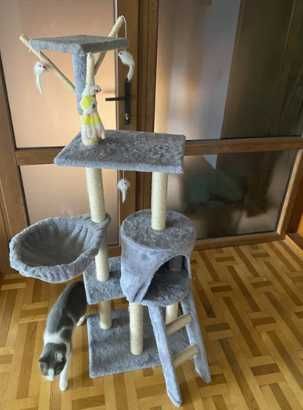 Домівка для кота