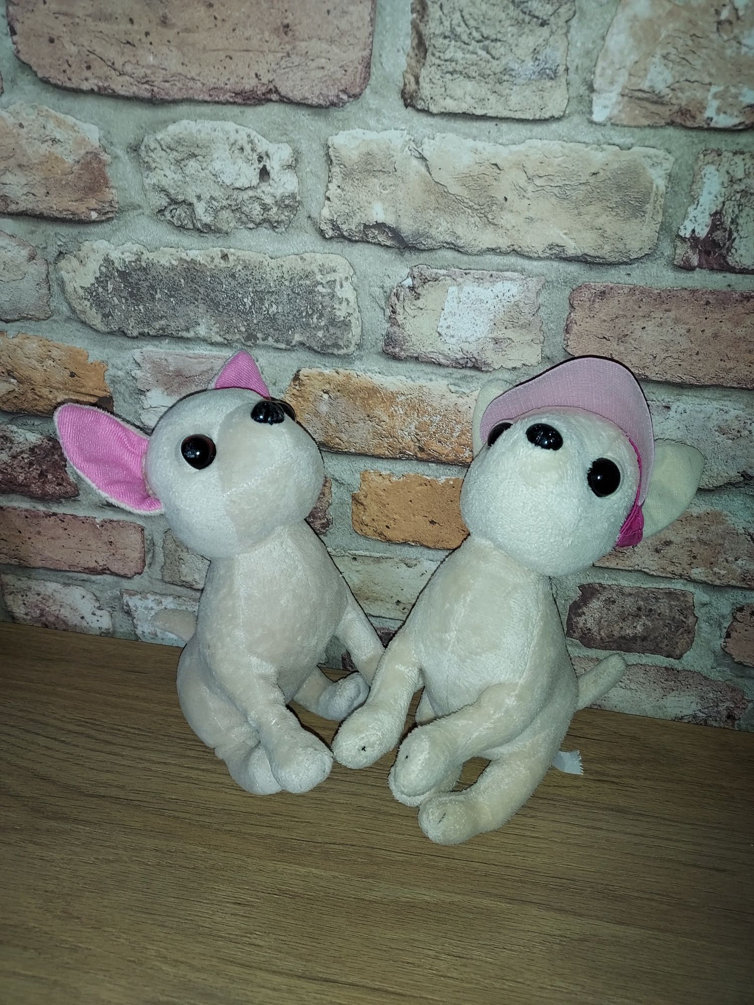 ChiChi love dwie maskotki chihuahua oryginalne pieski