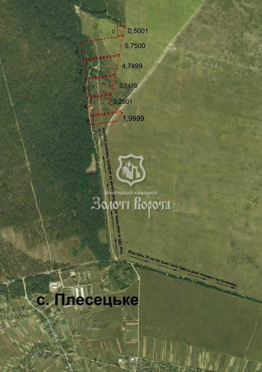Ділянка під забудову, 20 га. Дзвінкове, Плесецьке, Васильківський р-н