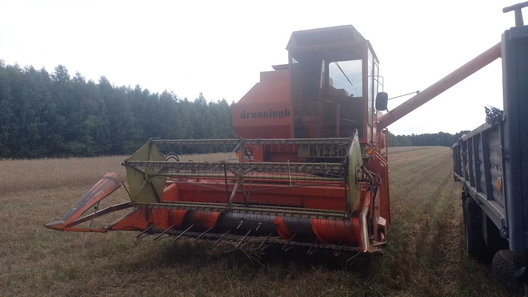 Dronninborg D 1250 kabina sieczkarnia