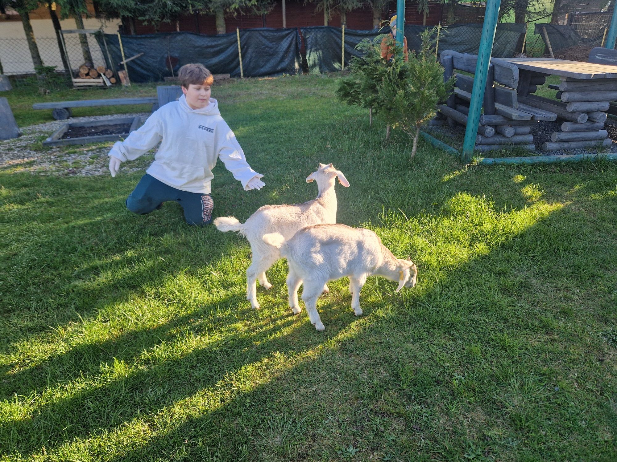 Domek całoroczny z kozami!!!Jezioro w pobliżu.