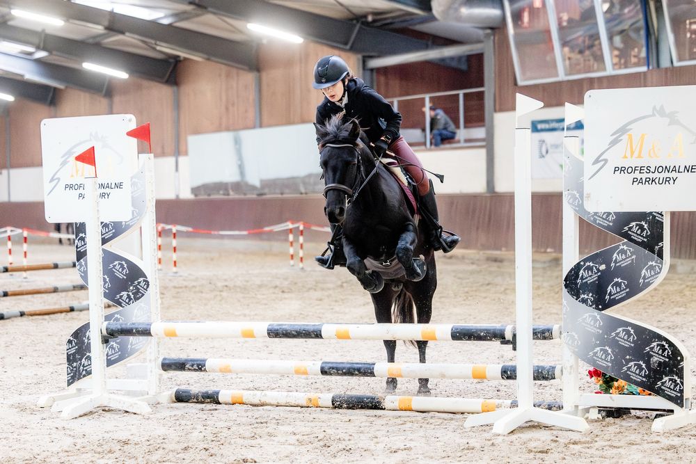 Dzierżawa cudownego wałacha