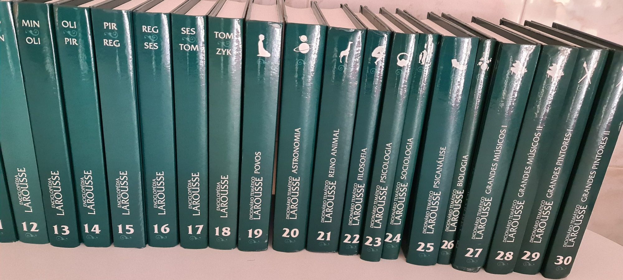 Enciclopédia/Dicionário Larousse. NovaNova.