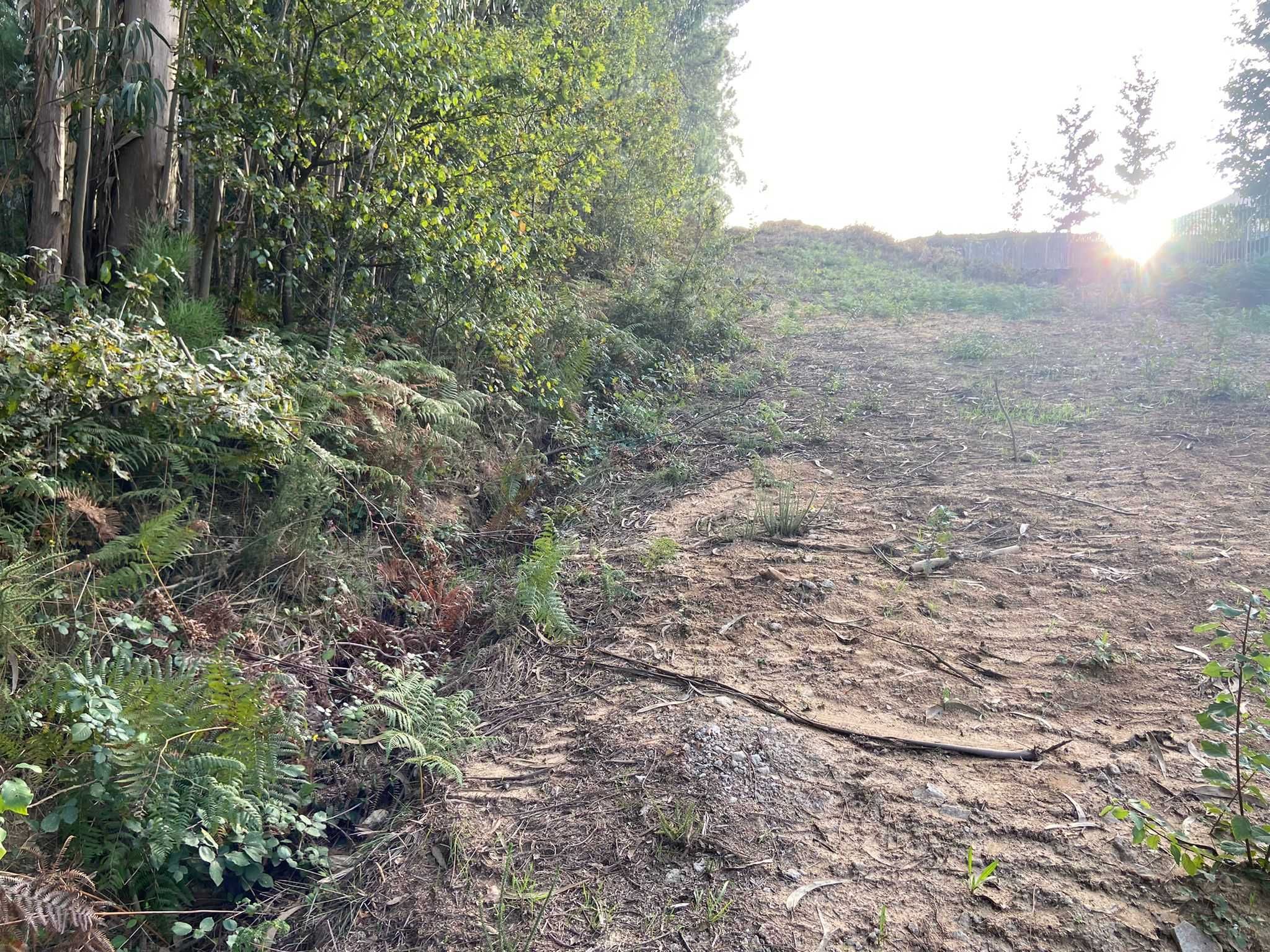 Terreno 793M2 C/Projeto Aprovado