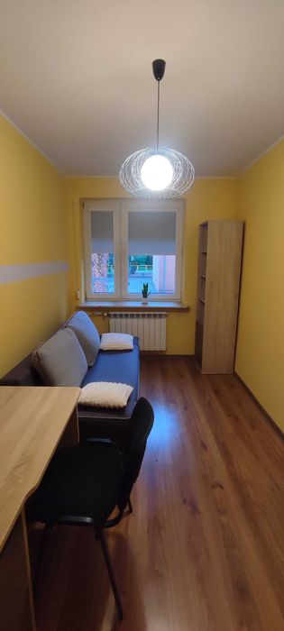 Blisko  UMK i na Stare Miasto