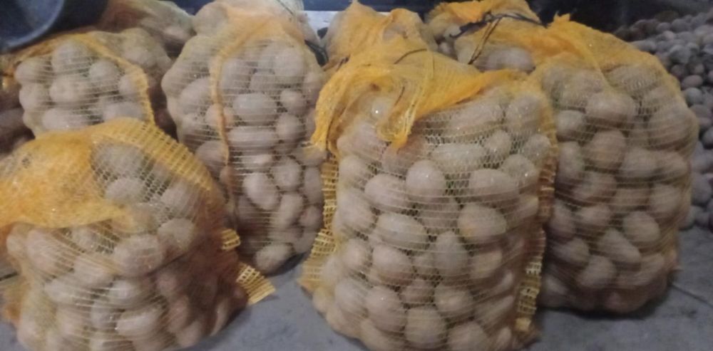 Ziemniaki żółte odmiana Jelly z własnego gospodarstwa