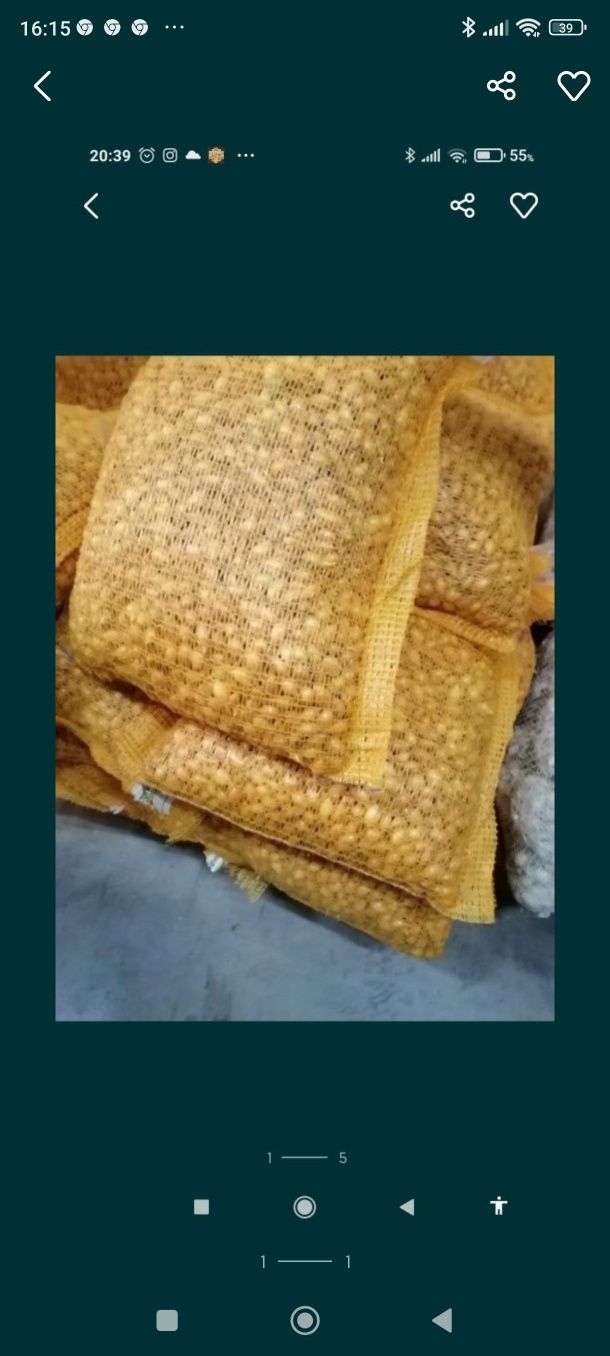 Cebula dymka (zimująca)Senshyu yellow 10 kg