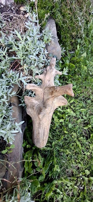 Piękny korzeń do akwarium terrarium