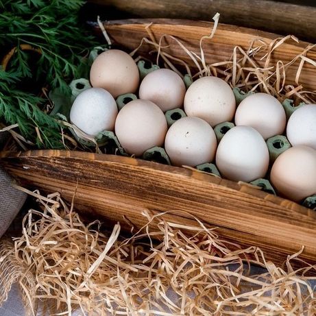 Jaja wiejskie naturalne z wolnego wybiegu - dostawa na terenie miasta