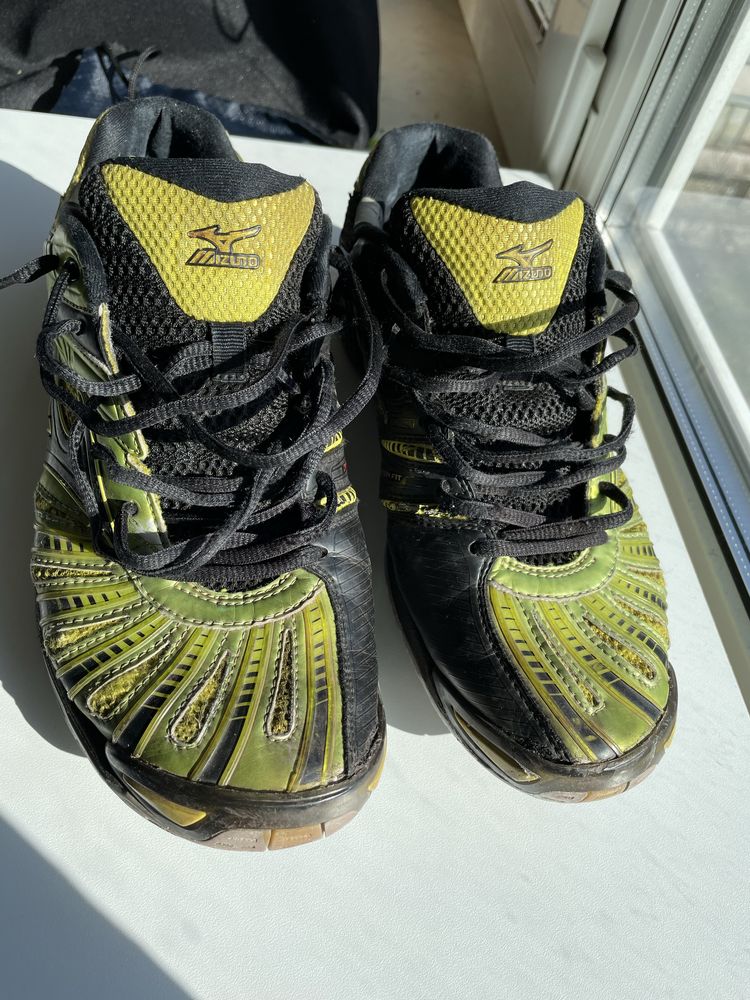 Кросівки чоловічі Mizuno
