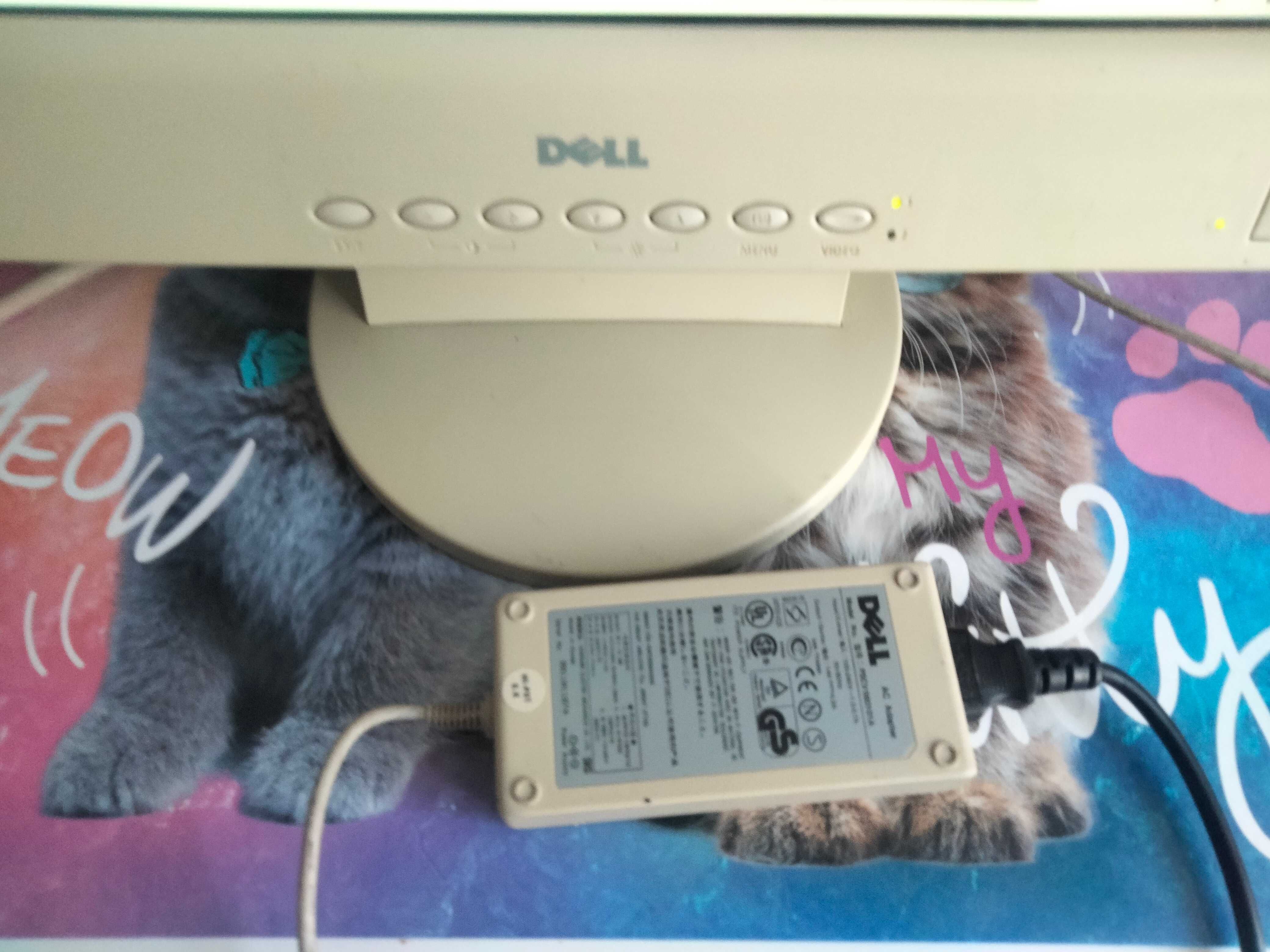 Monitor DELL model 1700FP
