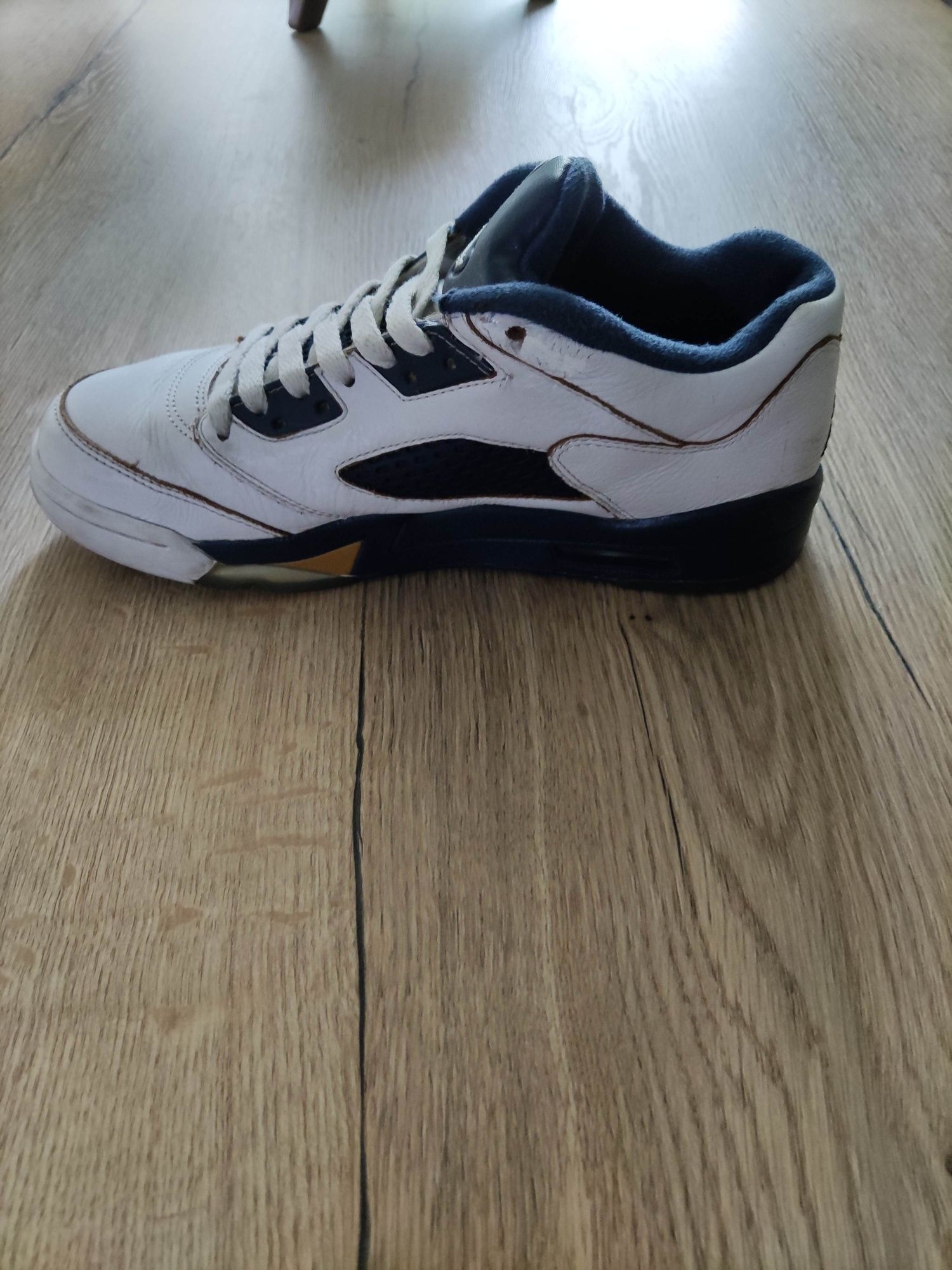 Air Jordan 5 Retro Low