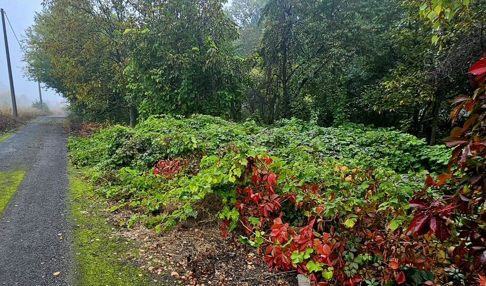 Działka budowlana w centrum Dąbrowy Górniczej! 828m2 Stara Dąbrowa