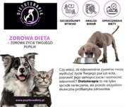 Dietetyk psów i kotów