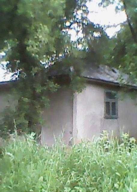 Продам будинок в селі Ів-Франк. області (в Дністровському каньйоні)