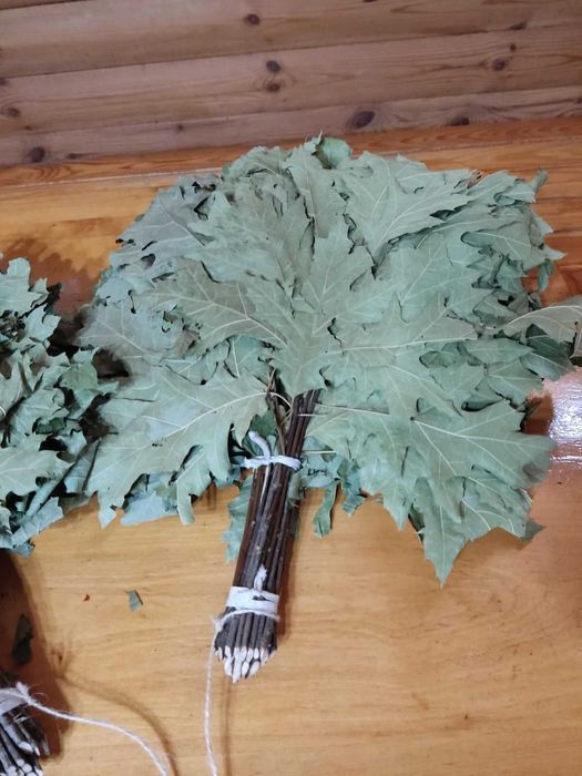 Банні дубові віники