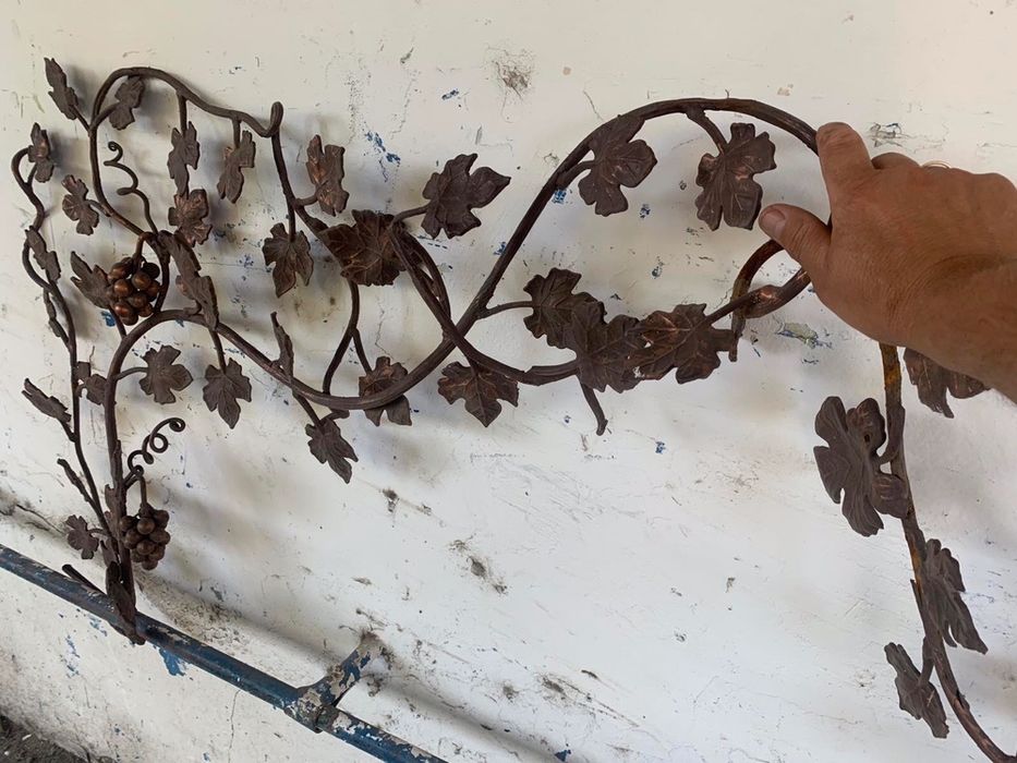 Продам декоративный виноград