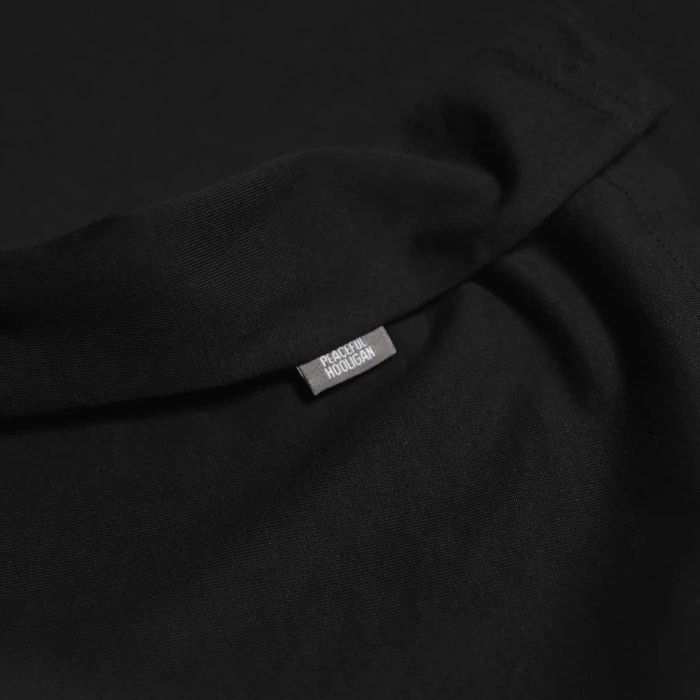 Футболка Peaceful hooligan (Weekend Offender , Stone island)