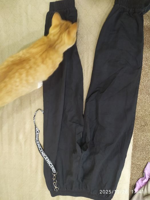 Модні штани для дівчинки