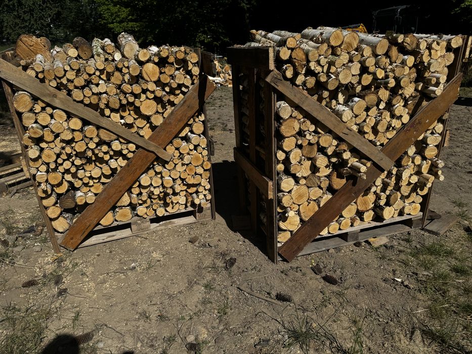 Brzoza drewno kominkowe