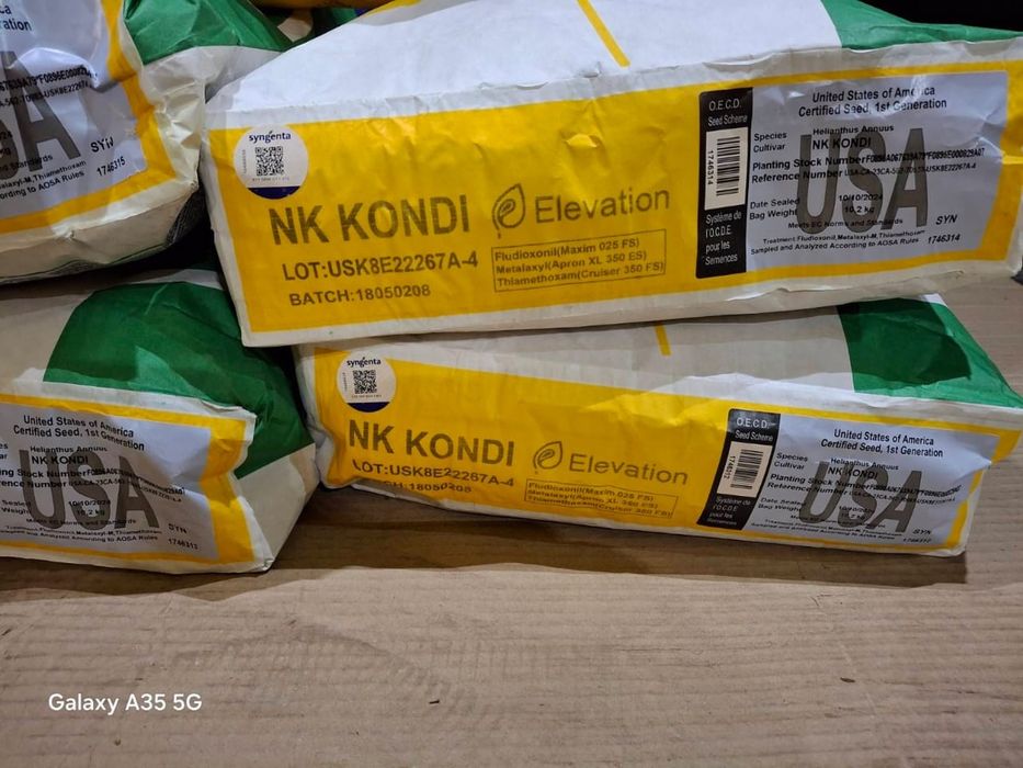 Соняшник нк конди