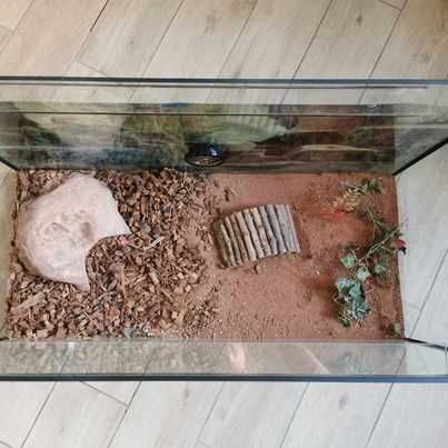 Terrarium 80x40x40 + wyposażenie