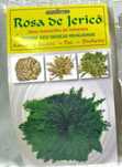 Rosa de Jericó (planta seca)